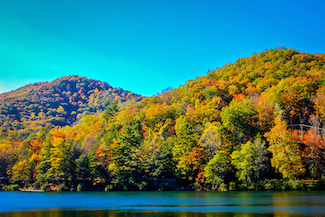 Things To Do VOGEL STATE PARK